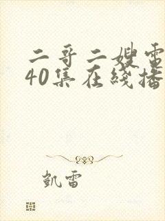 二哥二嫂电视剧40集在线播放