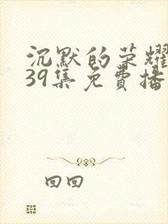 沉默的荣耀1—39集免费播放