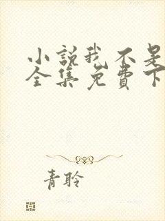 小说我不是戏神全集免费下载封面