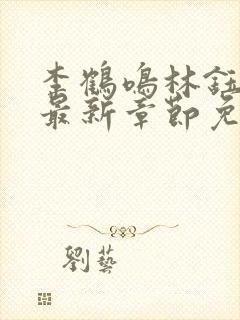 李鹤鸣林钰小说最新章节免费阅读封面