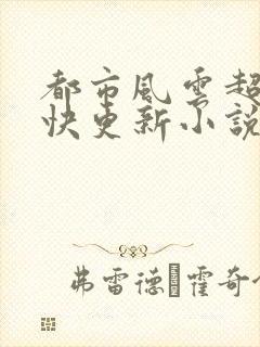 都市风云超前超快更新小说