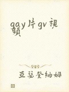 gay片gv视频封面