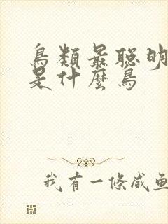 鸟类最聪明的鸟是什么鸟