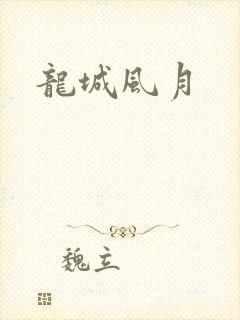 龙城风月封面