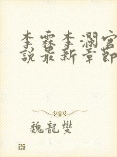 李霖李澜官场小说最新章节