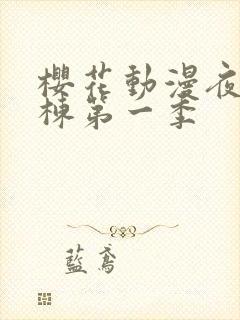 樱花动漫夜勤病栋第一季封面