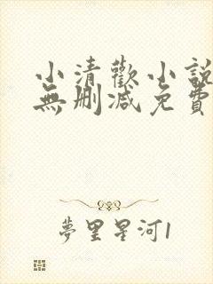 小清欢小说全文无删减免费阅读封面