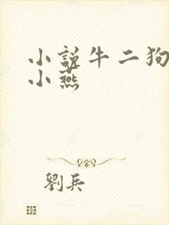 小说牛二狗,陈小燕