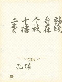 二十个哥动漫免费播放在线观看封面