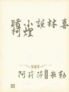 赌小说林喜朝和柯煜