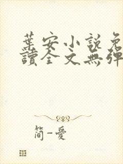 叶安小说免费阅读全文无弹窗封面