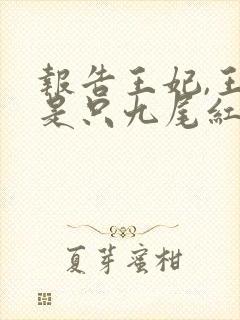 报告王妃,王爷是只九尾红狐小说免费阅读