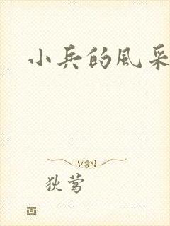 小兵的风采封面