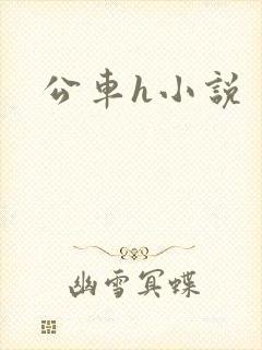 公车h小说