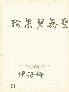 松果儿无圣光封面