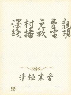 泽村免费观看在线播放电视剧