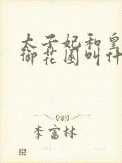 太子妃和皇帝在御花园叫什么小说