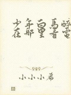 少年白马醉春风在哪里看电视剧封面