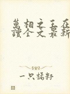 万相之王在线阅读全文最新章节