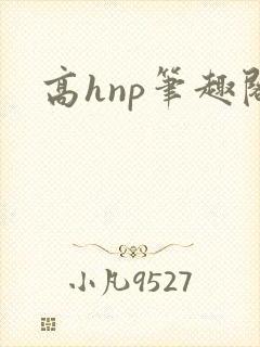 高hnp笔趣阁