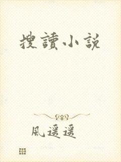 搜读小说封面