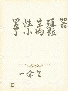 男性生殖器官长了小肉粒