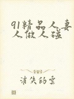 91精品人妻人人做人碰