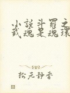 小说斗罗之我的武魂是魂环全文封面