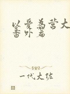 以爱为营大结局番外篇