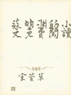 苏明渊的小说全文免费阅读无弹窗