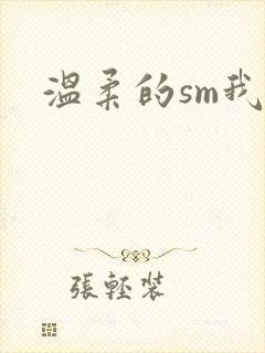 温柔的sm我