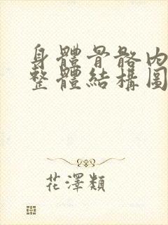 身体骨骼内脏图整体结构图