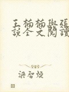 王楠楠与张浩小说全文阅读