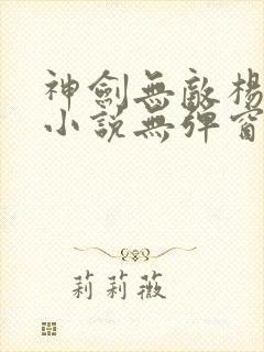 神剑无敌杨小天小说无弹窗封面