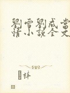 刘雪刘成当代爱情小说全文免费笔趣阁