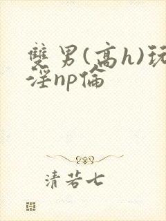 双男(高h)玩淫np伦