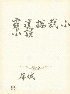 霸道总裁小娇妻小说