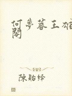 何梦蓉王雄笔趣阁封面