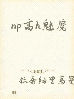 np高h魅魔