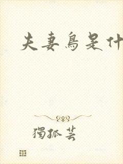 夫妻鸟是什么鸟