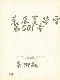 叶辰夏若雪孙怡 第501章封面