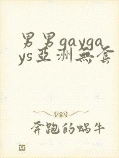 男男gaygays亚洲无套封面