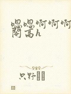 嗯嗯啊啊啊笔趣阁高h封面