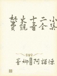 怒火十二小时免费观看全集完整版