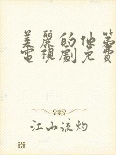 美丽的他第一季电视剧免费观看全集高清封面