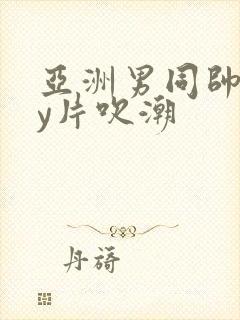 亚洲男同帅gay片吹潮封面