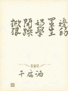 掀开奶罩边躁狠狠躁学生的小文字封面