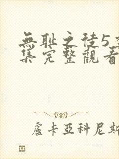 无耻之徒5季全集完整观看