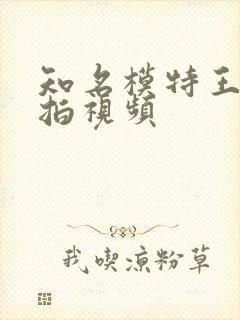 知名模特王真私拍视频