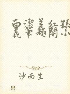 白洁美红孙倩高义笔趣阁小说封面